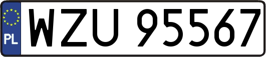 WZU95567