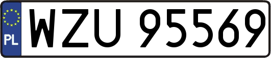 WZU95569