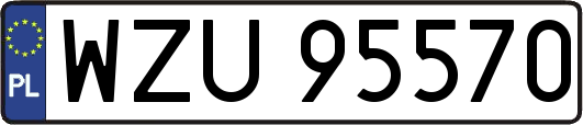 WZU95570