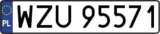 WZU95571
