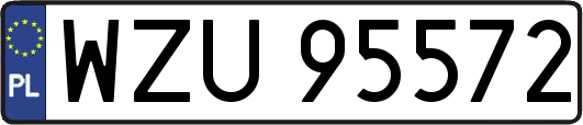WZU95572