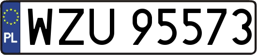 WZU95573