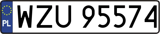WZU95574