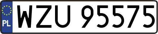 WZU95575