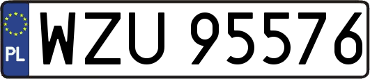 WZU95576