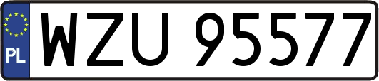 WZU95577