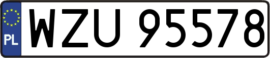 WZU95578