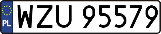WZU95579