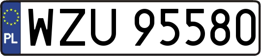 WZU95580