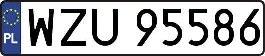 WZU95586