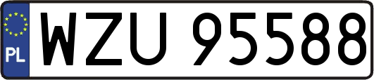 WZU95588