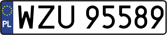WZU95589