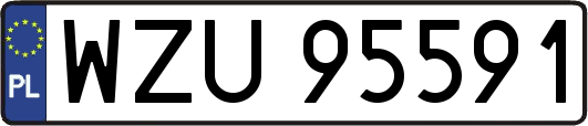 WZU95591
