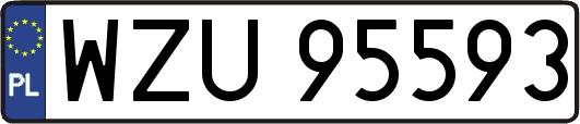 WZU95593