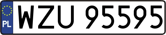 WZU95595