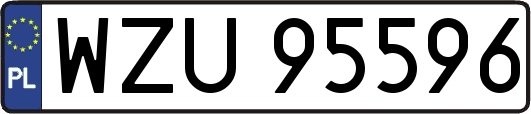 WZU95596