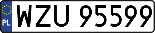 WZU95599