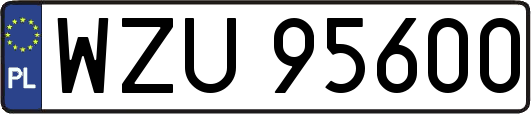 WZU95600