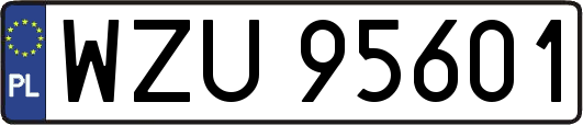 WZU95601