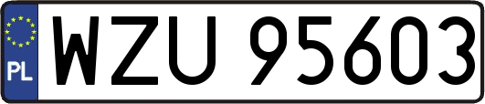 WZU95603