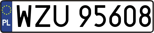 WZU95608
