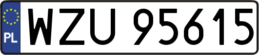 WZU95615