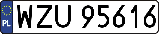 WZU95616