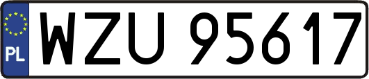 WZU95617