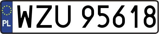 WZU95618