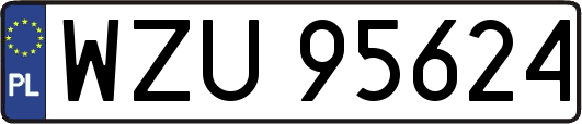 WZU95624