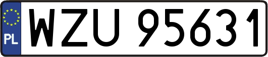 WZU95631