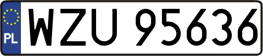 WZU95636
