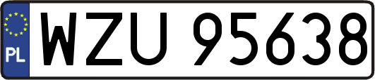 WZU95638