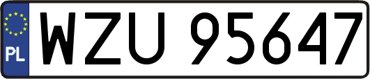 WZU95647