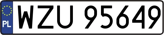 WZU95649