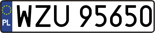 WZU95650