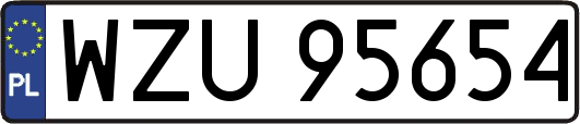 WZU95654