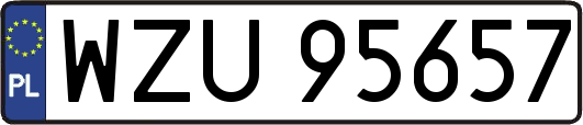 WZU95657