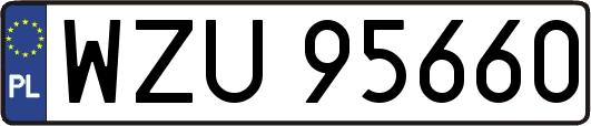 WZU95660