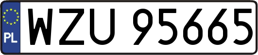 WZU95665