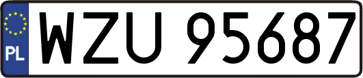 WZU95687