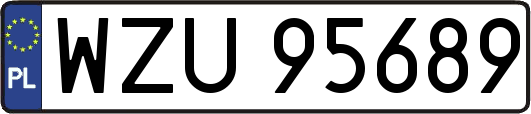 WZU95689