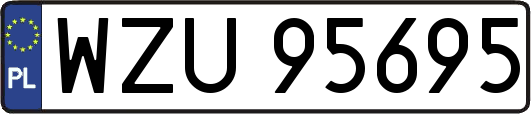 WZU95695