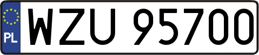 WZU95700