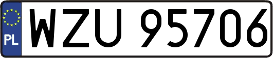 WZU95706