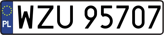 WZU95707