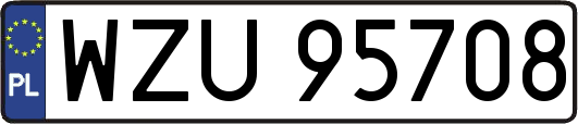WZU95708