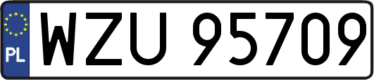 WZU95709
