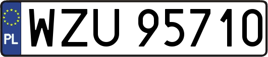 WZU95710
