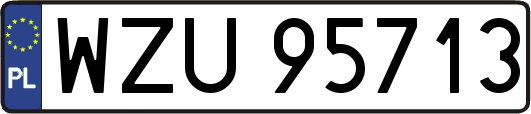 WZU95713
